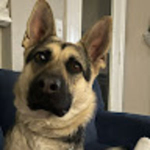 Meet your Posher, Jerry